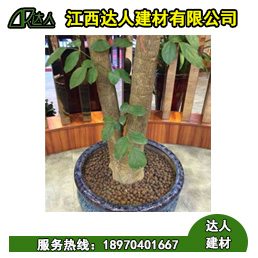 花卉園林陶粒好不好用？